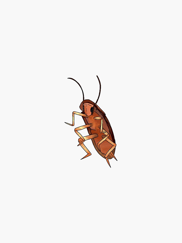 "Dancing Roach " Sticker for Sale by emmafran Redbubble