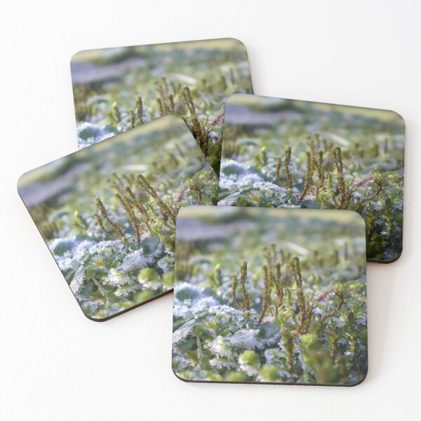 Item preview, Frozen moss designed and sold by MariaKuhi.