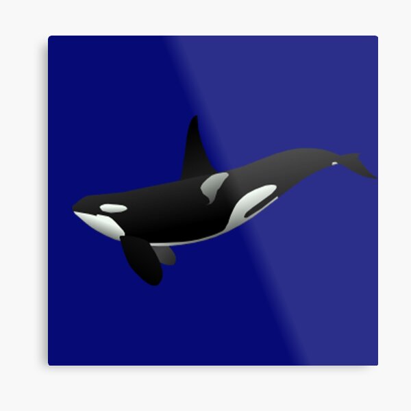 Wandbilder Orca Redbubble