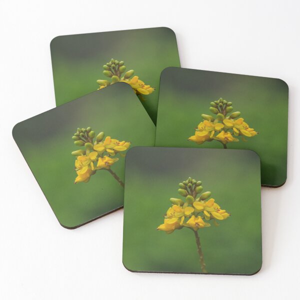 Item preview, Yellow Flower designed and sold by Keith's Photo Artistry.