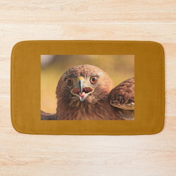 Item preview, Red Tail Hawk - Family:  Accipitriformes designed and sold by Buckwhite.