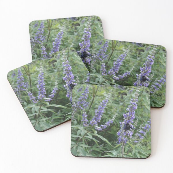 Item preview, Provence - CARD0006 designed and sold by 3-Starfish.