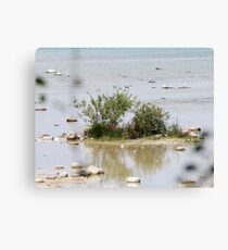 Little Island Canvas Print