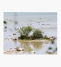 Little Island Photographic Print