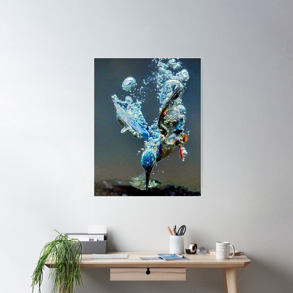 Diving bird Poster