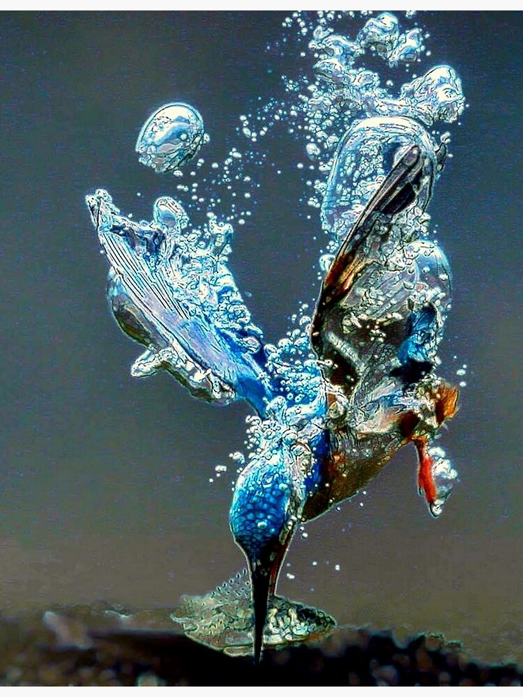 Diving bird by michaeltodd
