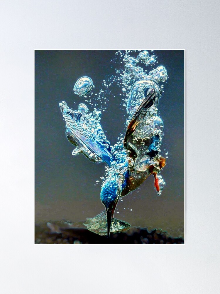 Alternate view of Diving bird Poster