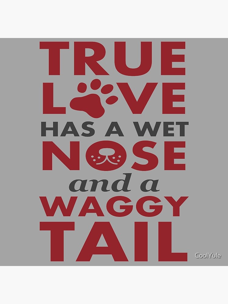 Doggone Gorgeous - True love is four paws, a wagging tail and a wet nose  😍🐾 don't forget the DGG LOVE warmie! 😍🐾 @hera_and_nala - - #dggwinter19  #doggonegorgeous #truelove