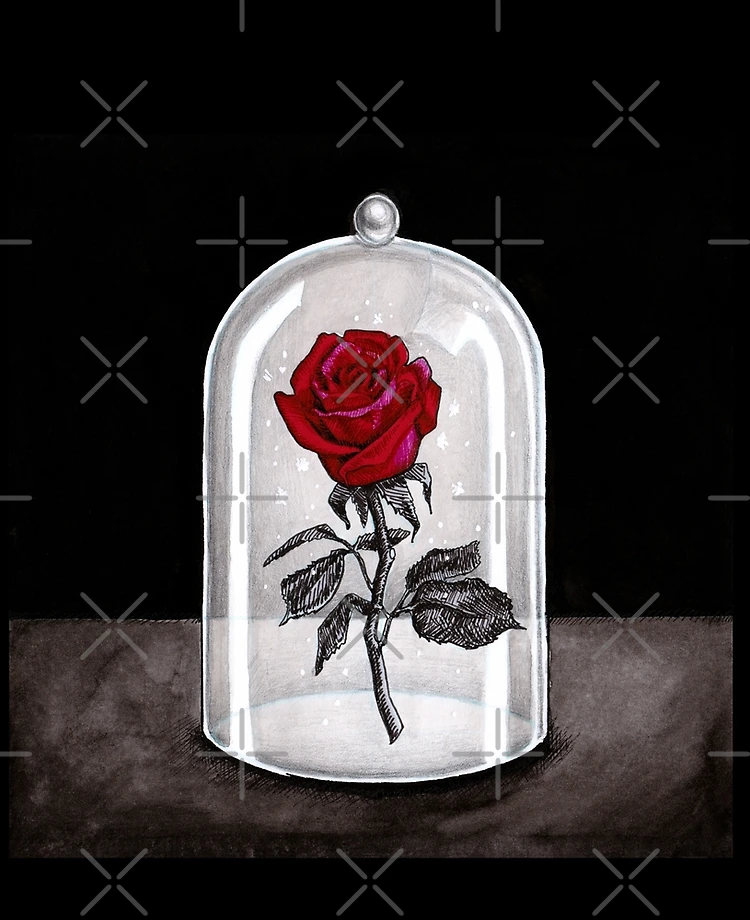 Enchanted Rose beauty and the beast - 40x50cm / 16x20in / Frameless