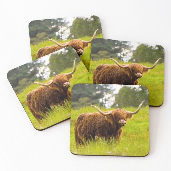 Item preview, Highland Cow designed and sold by JeanKellyPhoto.
