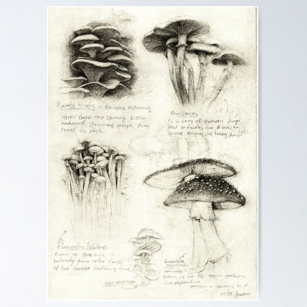 Item preview, Mushrooms designed and sold by mikekoubou.