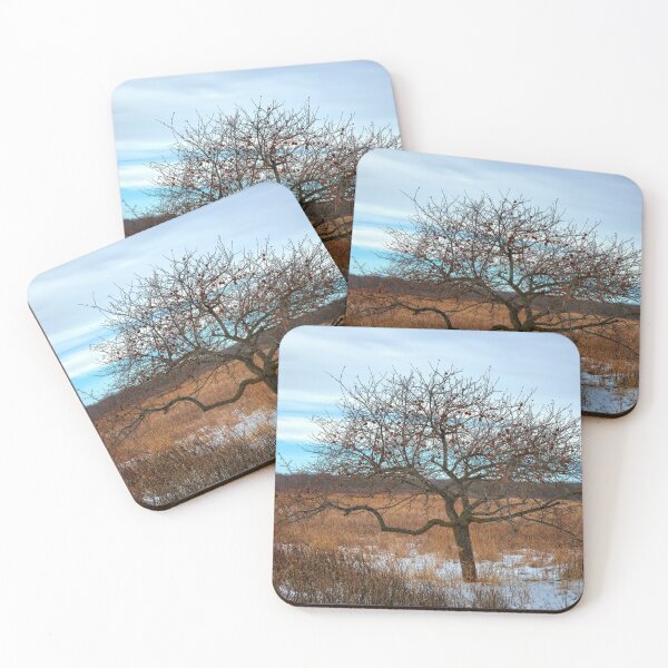 Item preview, Winter Apples designed and sold by LynyrdSky.