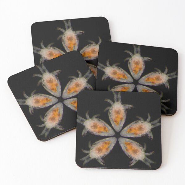Item preview, Flower Petals of the Nauplii designed and sold by MicrocosmFilm.