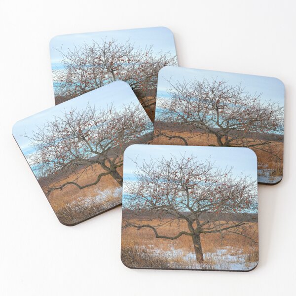 Item preview, Fresh Apples designed and sold by LynyrdSky.