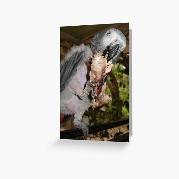 ASHLEY AND HER SPARE RIB Greeting Card