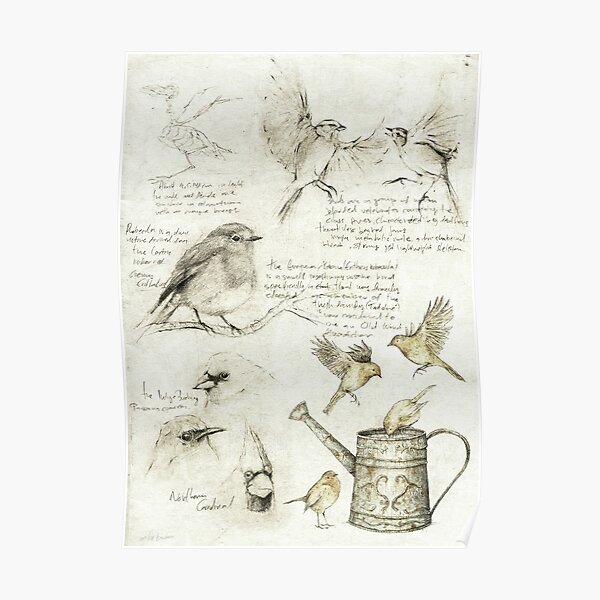 Birds Poster