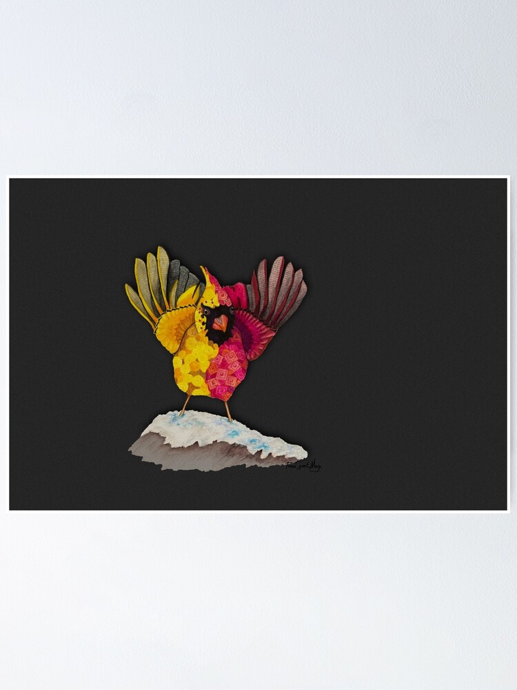 Alternate view of Cardinal Duality Poster