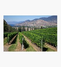 Okanagan Falls Photographic Print