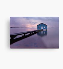 On the Swan River Metal Print
