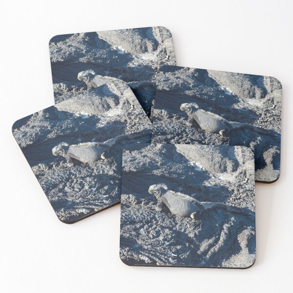 Item preview, A Marine Iqauna Is Seen In Profile On The Black Lava Rocks Of Fernandina Island In The Galapagos designed and sold by Tom Wurl.