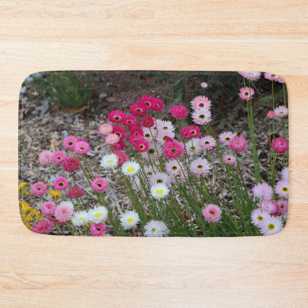 Item preview, Everlasting daisies, Western Australia wildflowers designed and sold by FranWest.