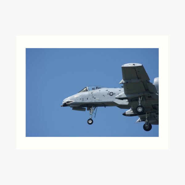 A-10 Thunderbolt Art Print