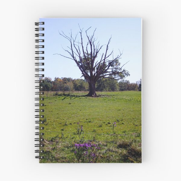 Item preview, LONELY TREE designed and sold by Pauline Evans.