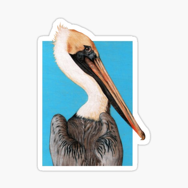 Pelican Seabird art by Artist Sherrie Spencer Sticker