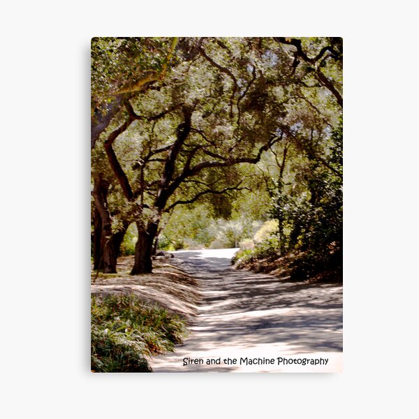 Descanso Gardens Geschenke Merchandise Redbubble