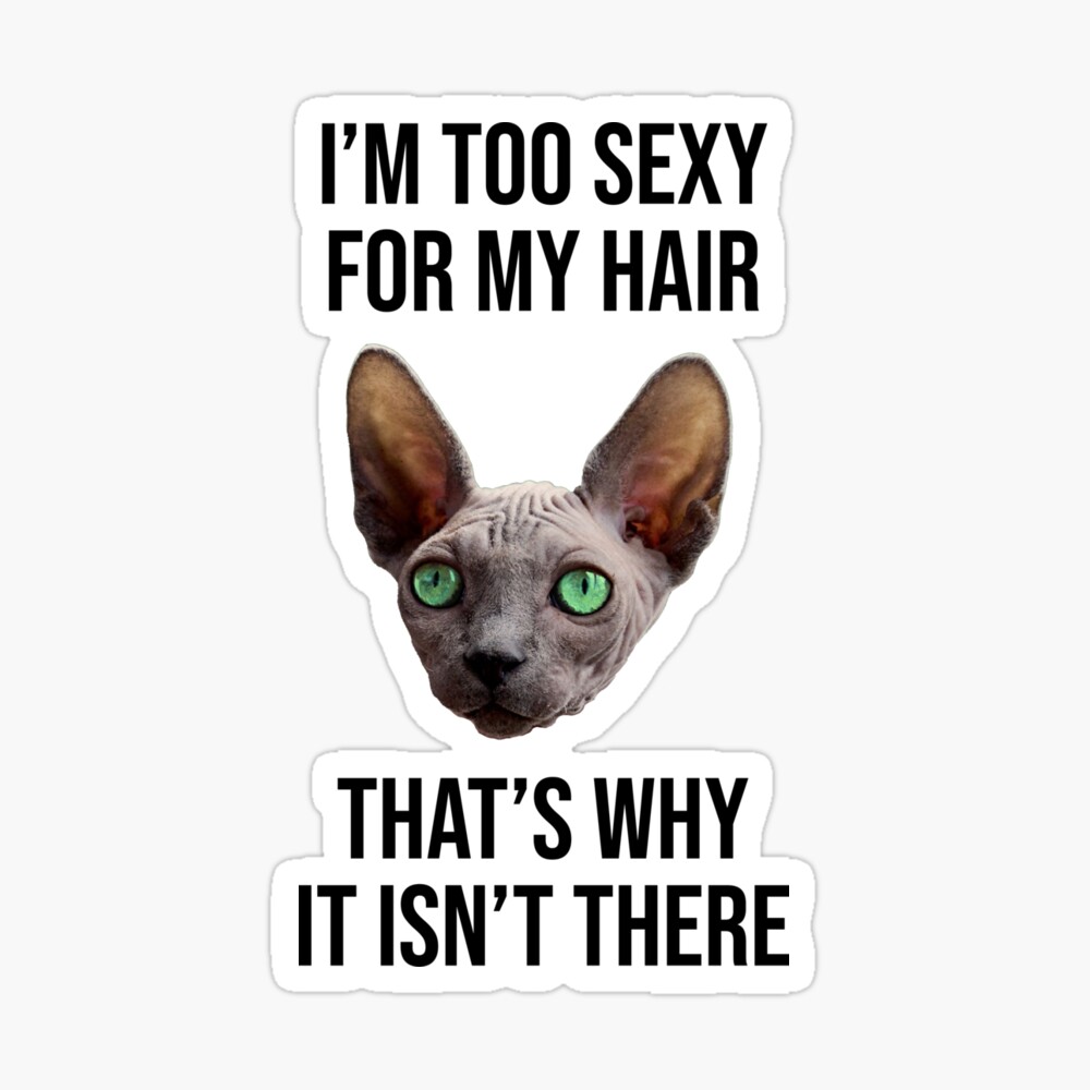 I M Too Sexy For My Hair Poster By Croylec Redbubble