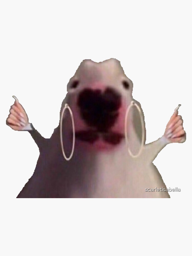 "Dog With Nails and Hoops Meme" Sticker for Sale by scarletisabella