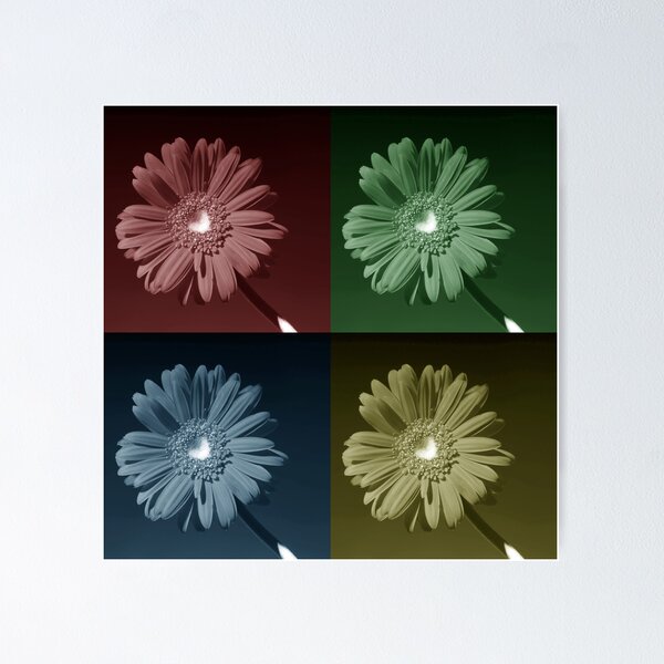Artikelvorschau, The beauty in colour entworfen und verkauft von Douglas M. Paine.