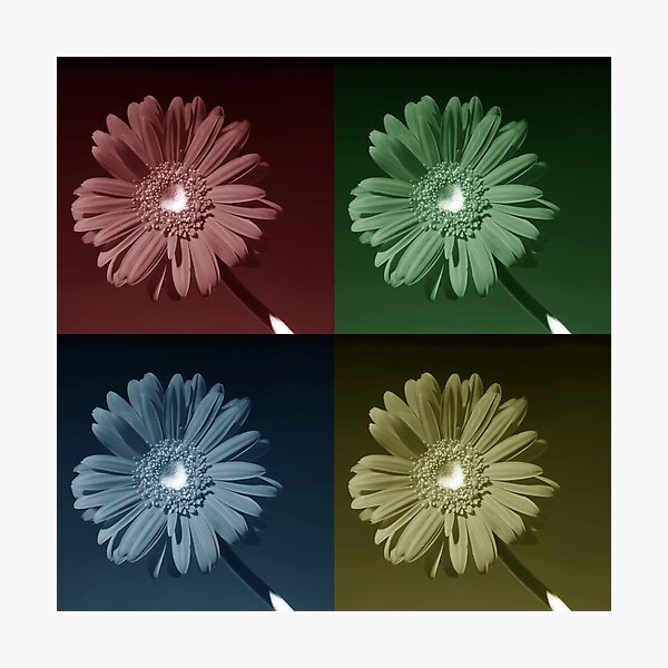 Item preview, The beauty in colour designed and sold by Douglas M. Paine.