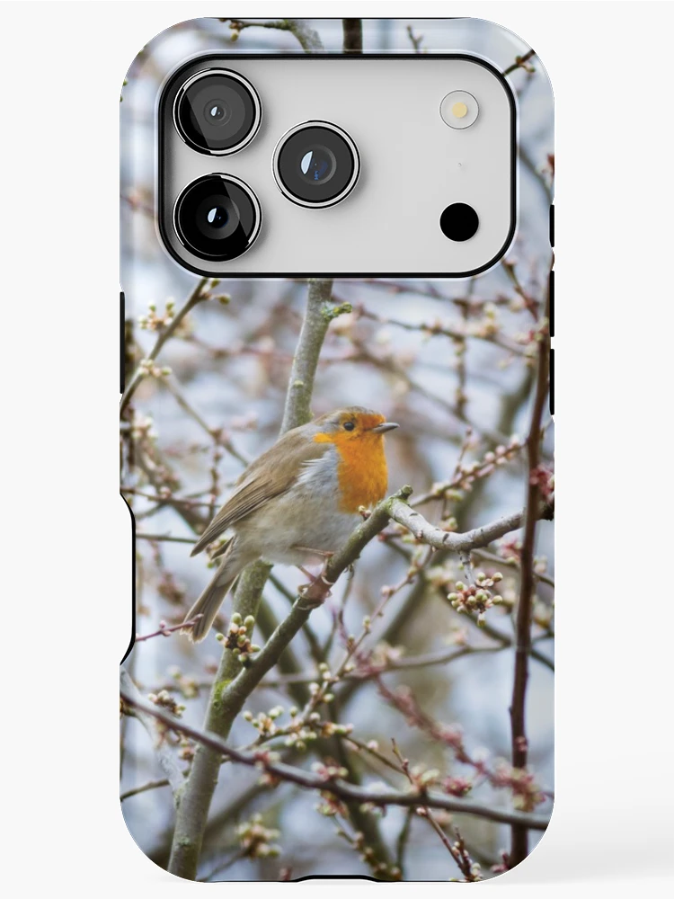 Thumbnail 1 of 4, iPhone Case, Robin designed and sold by Tadas Svetikas.