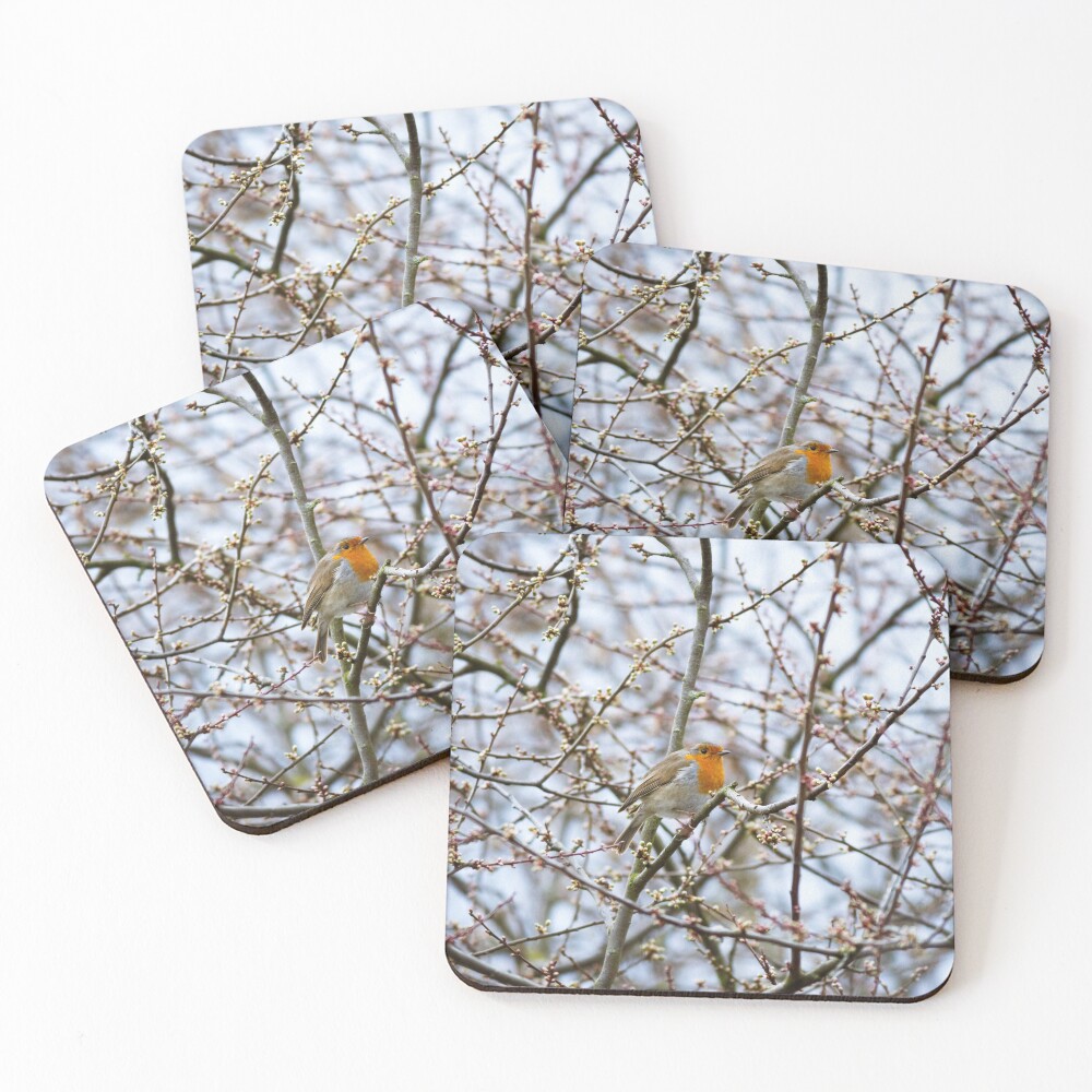Item preview, Coasters (Set of 4) designed and sold by SerialSnapper.