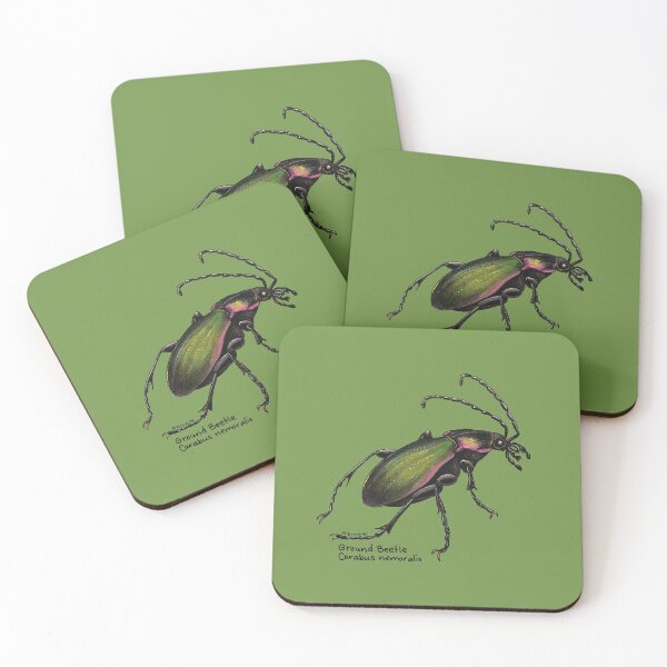 Item preview, Beautiful Ground Beetle designed and sold by mernstw.