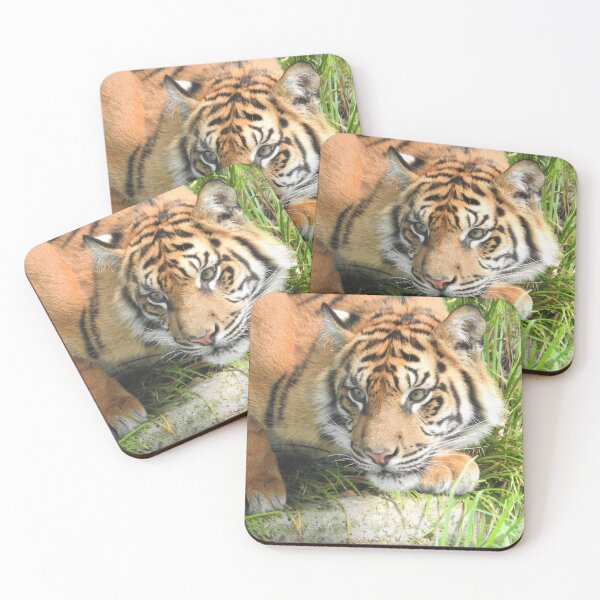 Item preview, Sumatran Tiger designed and sold by kirstybush.