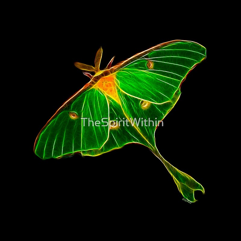 «Wisdom on Wing ™ Luna Moth» de TheSpiritWithin Redbubble