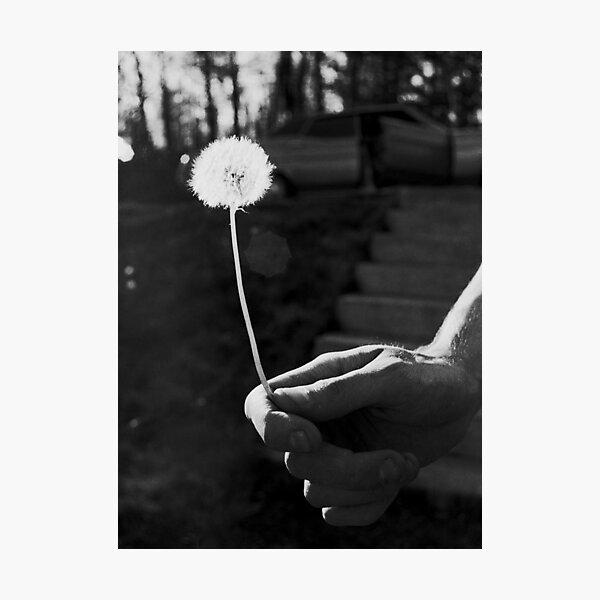 Item preview, Backlit Dandelion designed and sold by James2001.
