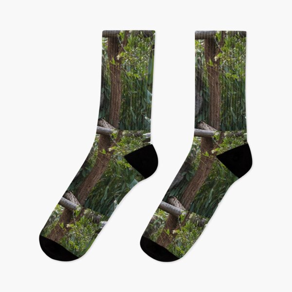 Item preview, Koala at Koala Reserve, Phillip Island, Victoria, Australia designed and sold by Dreamscape Eclectic .