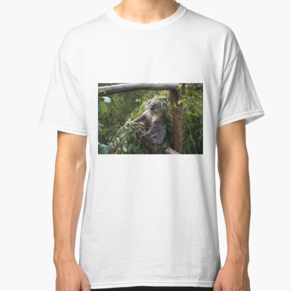 Koala at Koala Reserve, Phillip Island, Victoria, Australia Classic T-Shirt