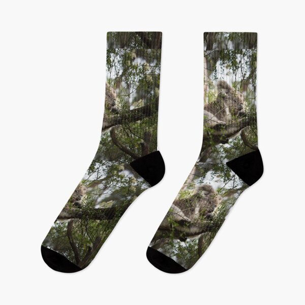 Item preview,  Koala at Koala Reserve, Phillip Island, Victoria, Australia designed and sold by Dreamscape Eclectic .