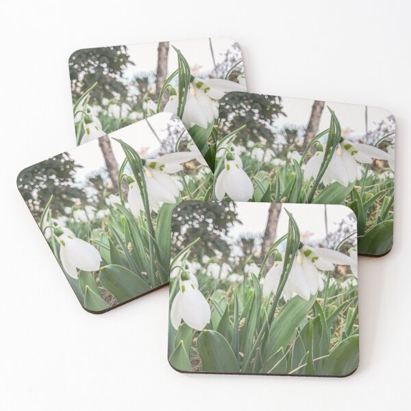 Item preview, Snowdrops By The Sea In Gentle Sunlight designed and sold by nenovimages.
