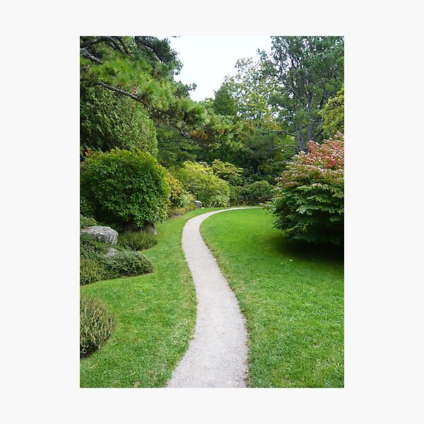 Landscape Photography - Asticou 01 Photographic Print