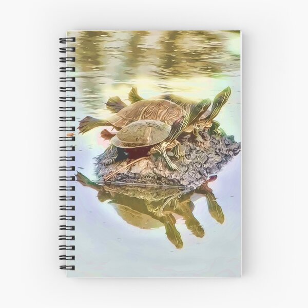 Aperçu de l'œuvre Soupe de tortue créée et vendue par DottieDees.
