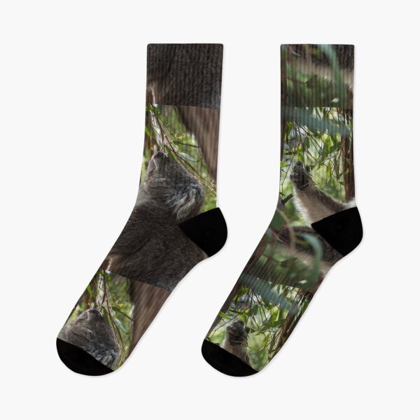 Item preview,  Koala at Koala Reserve, Phillip Island, Victoria, Australia designed and sold by Dreamscape Eclectic .