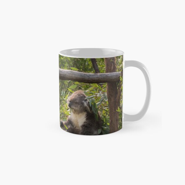 Koala at Koala Reserve, Phillip Island, Victoria, Australia Classic Mug