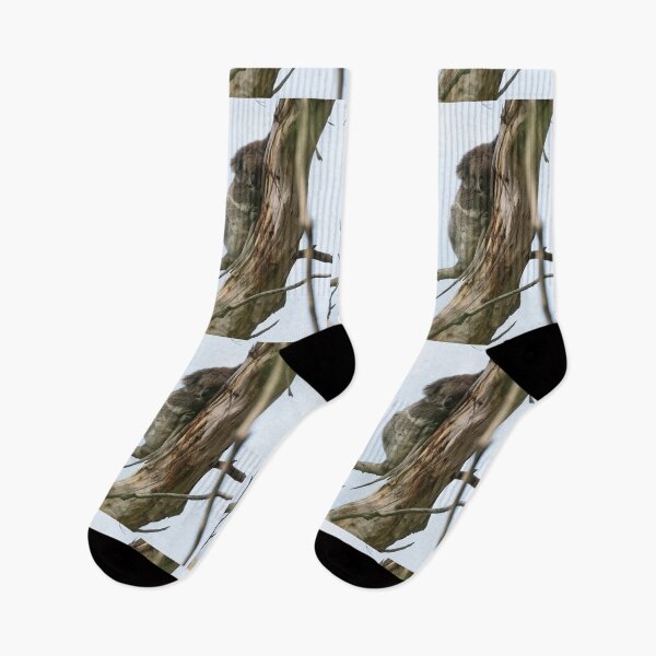 Item preview,  Koala at Koala Reserve, Phillip Island, Victoria, Australia designed and sold by Dreamscape Eclectic .