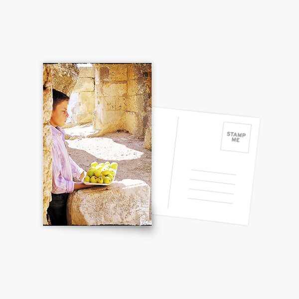 a boy selling fruits Postcard
