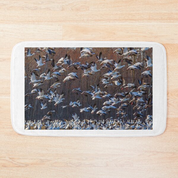 Item preview, Snow geese at sunrise designed and sold by James Cumming.
